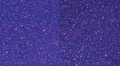 ALL-IN-1 RATTLE BOMB<br />Why-It-Purp?