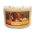 Apple Pumpkin Spice - TWO wick