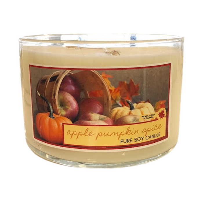 Apple Pumpkin Spice - TWO wick