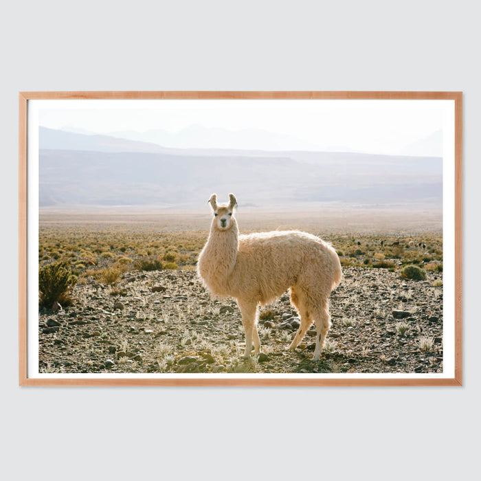 natural-frame