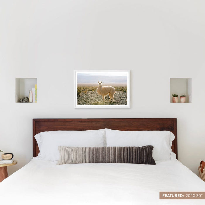 white-frame
