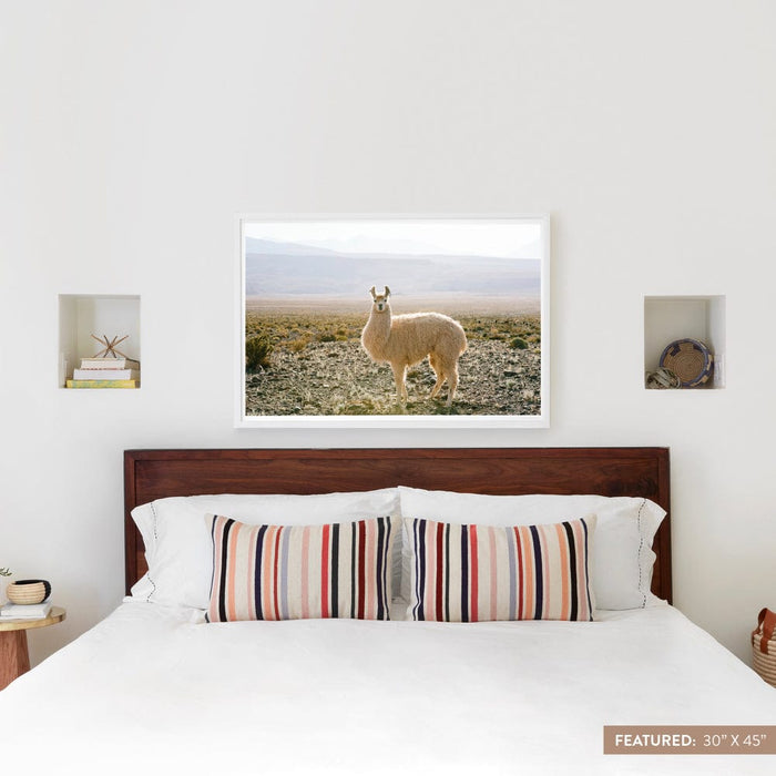 white-frame