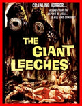 ATTACK OF THE GIANT LEECHES - 1959 - KEN CLARK