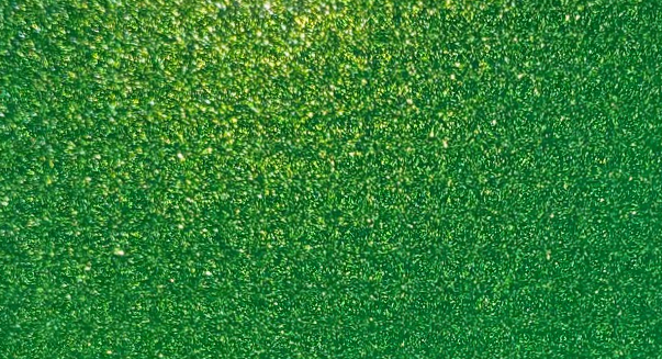 BASECOAT RATTLE BOMB<br />Sublime Green