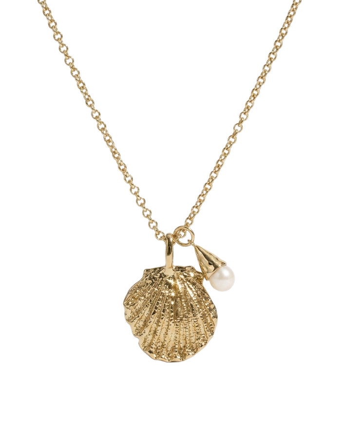 james-michelle-capri-shell-necklace-gold-transparent2