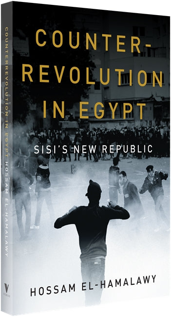 Counterrevolution in Egypt
