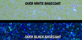 Crystal Beth<br / >TRIPPIN' FLAKE