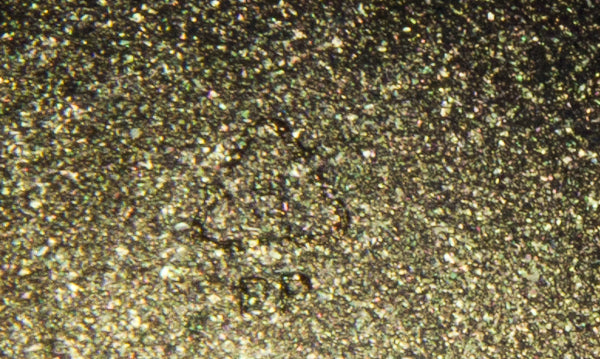 DIAMOND PEARL <br />Gold Chain