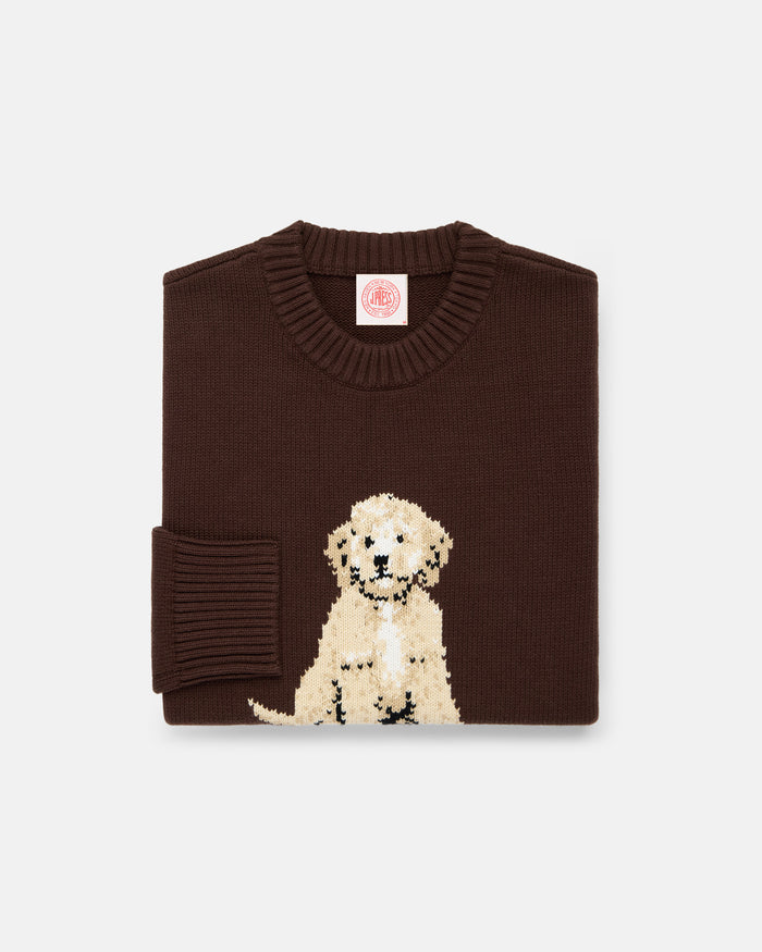 Doodle Intarsia Knit Cotton Sweater
