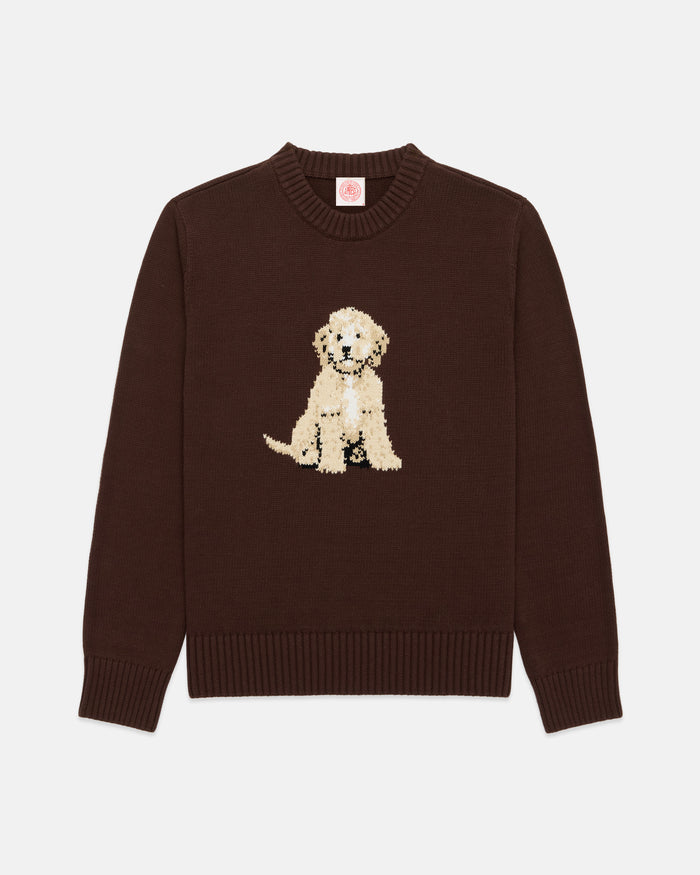 Doodle Intarsia Knit Cotton Sweater