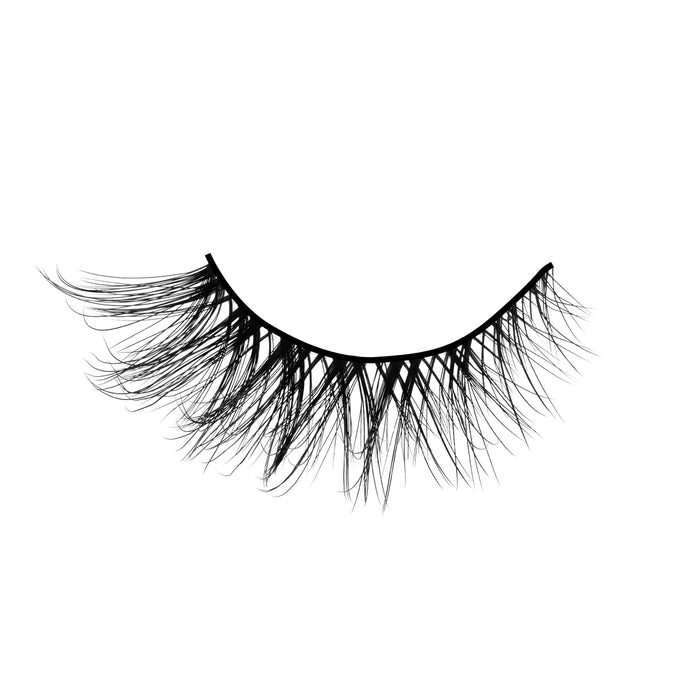Dramatilash 5pc multi-pack luxe lash shade variant color swatch
