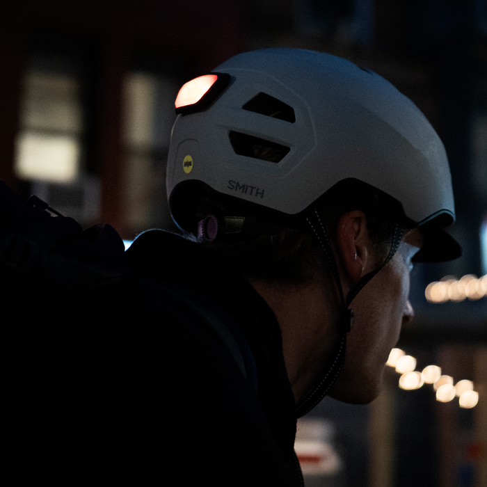 Express Light Accessory - Past Season