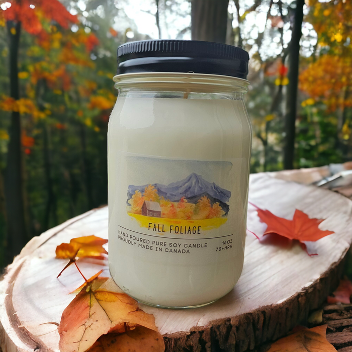 Fall Foliage