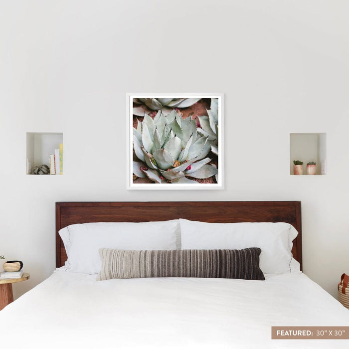 white-frame