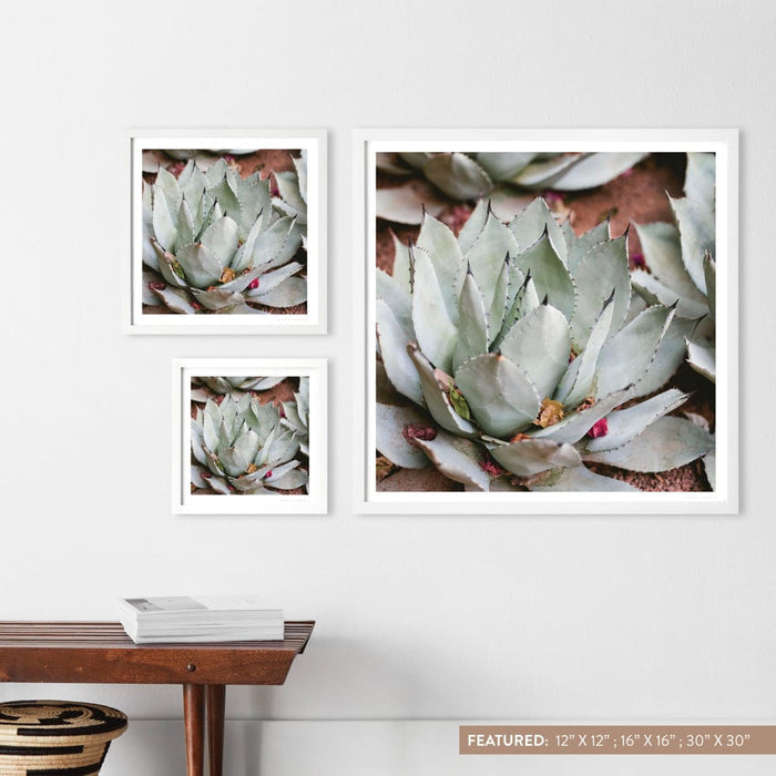 white-frame