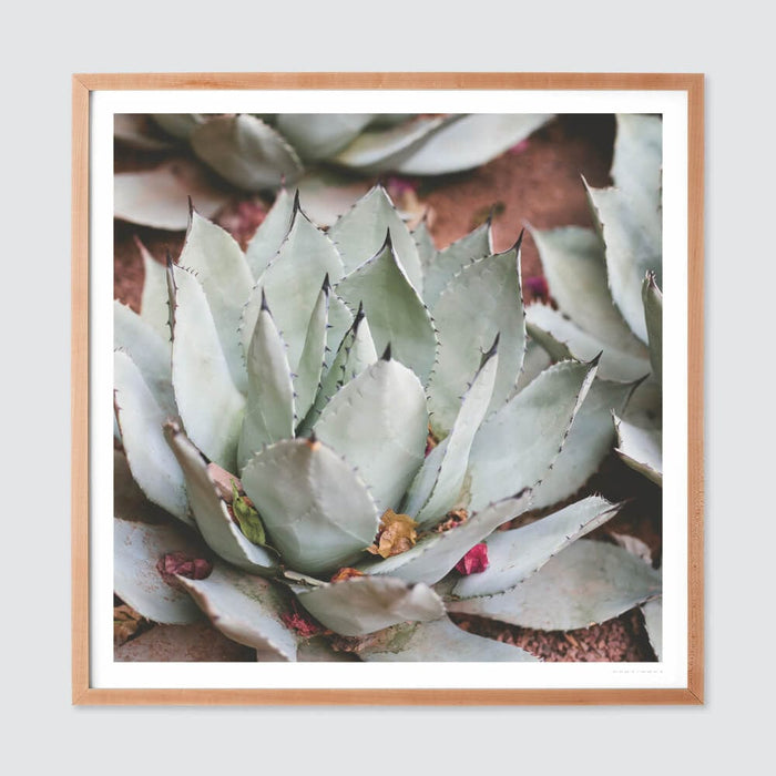 natural-frame