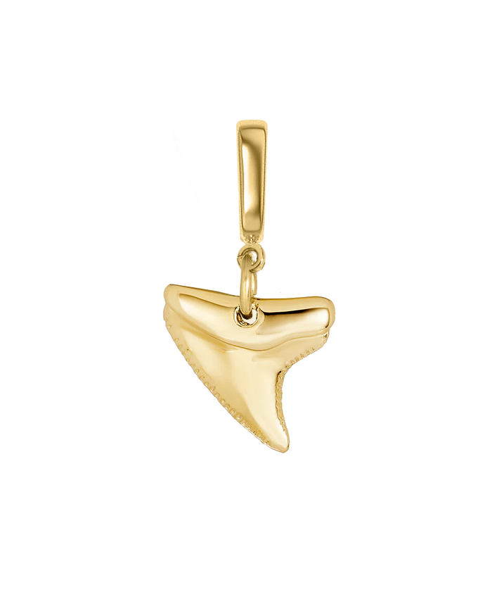 Jaws Charm