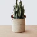 Mercado Storage Baskets - Round