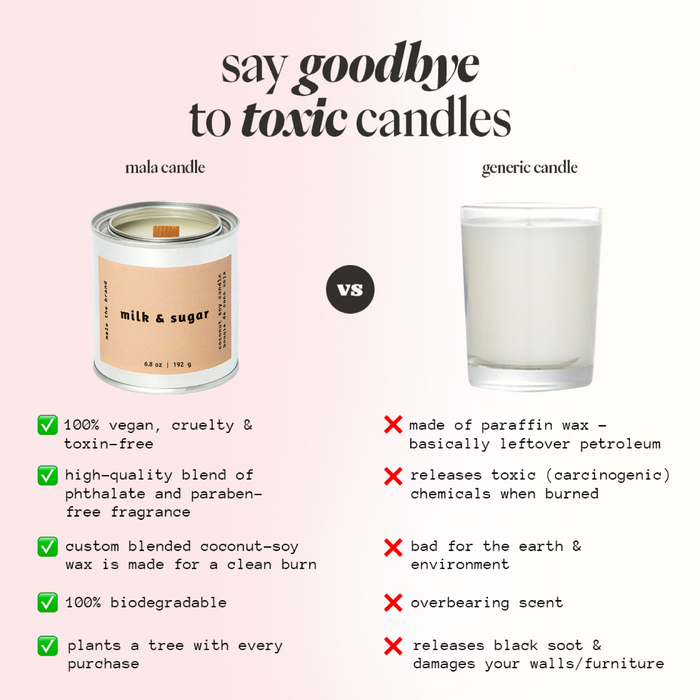 Milk and Sugar | Vanilla + Cinnamon + Cream