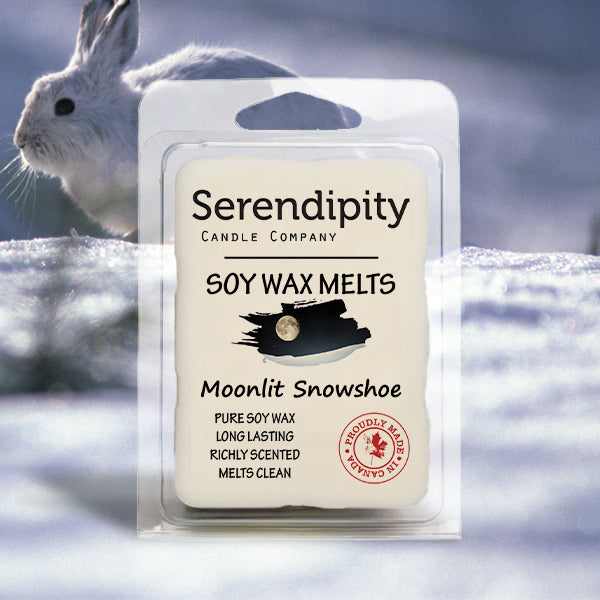 Moonlit Snowshoe