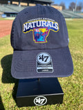 Naturals Navy State Franchise Cap