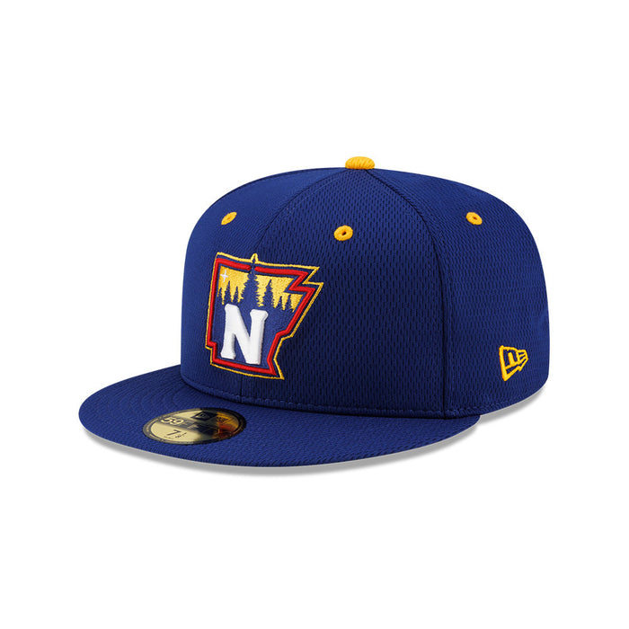**NEW** 59Fifty BP State Cap