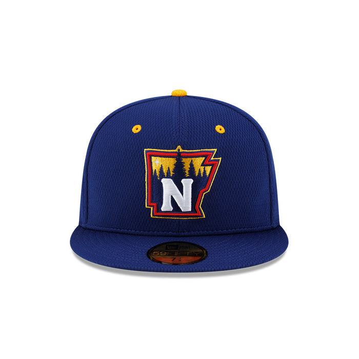 **NEW** 59Fifty BP State Cap