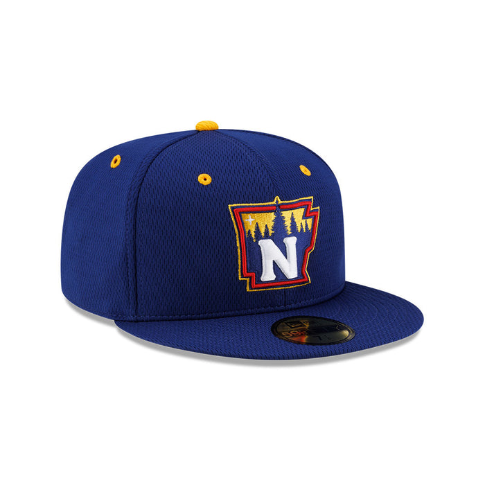 **NEW** 59Fifty BP State Cap