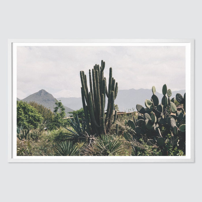 white-frame