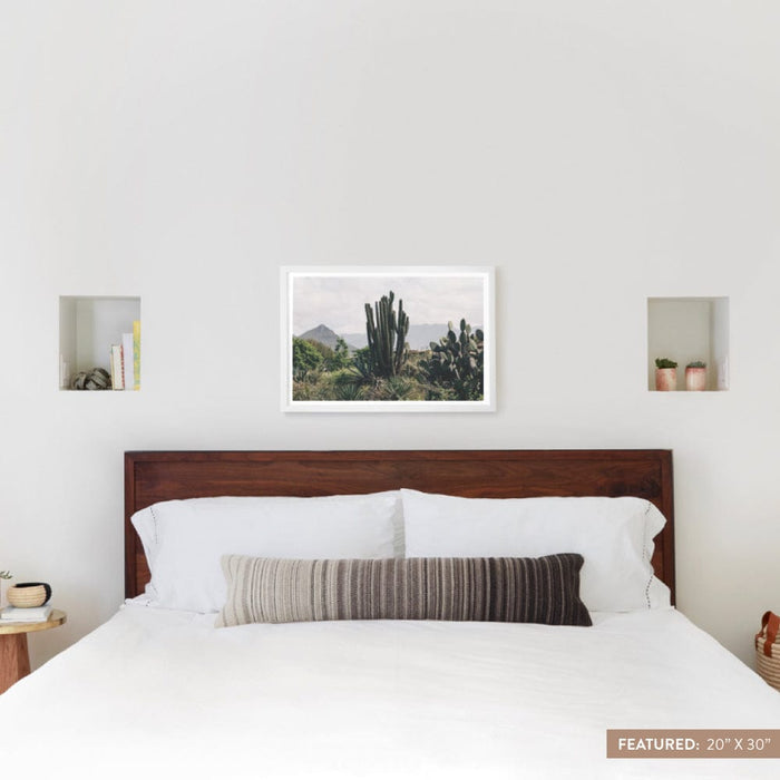 white-frame