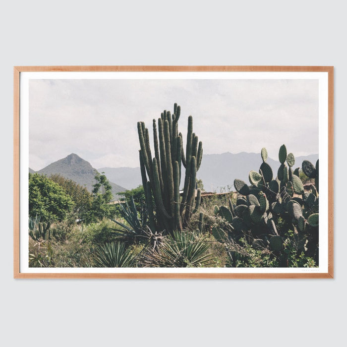 natural-frame