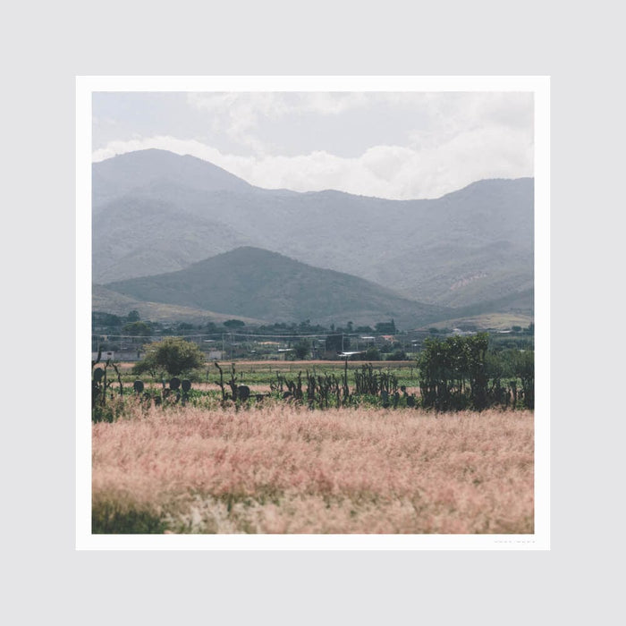 no-frame