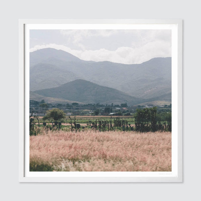 white-frame