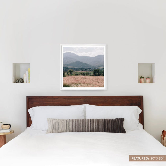 white-frame
