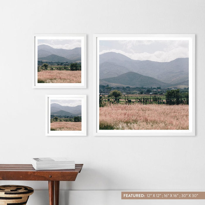 white-frame