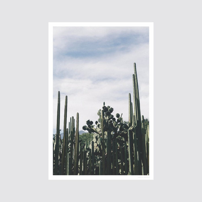 no-frame