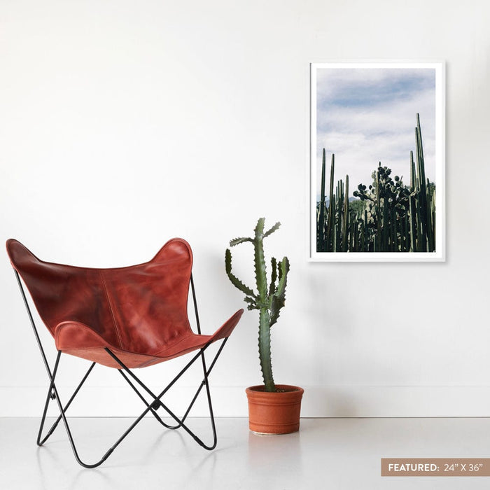 white-frame