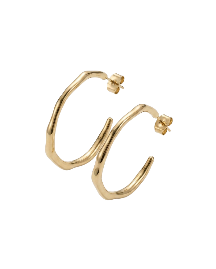 james-michelle-palermo-hoops-gold-transparent