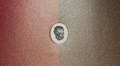 PEARL RATTLE BOMB<br />Toasted Roach