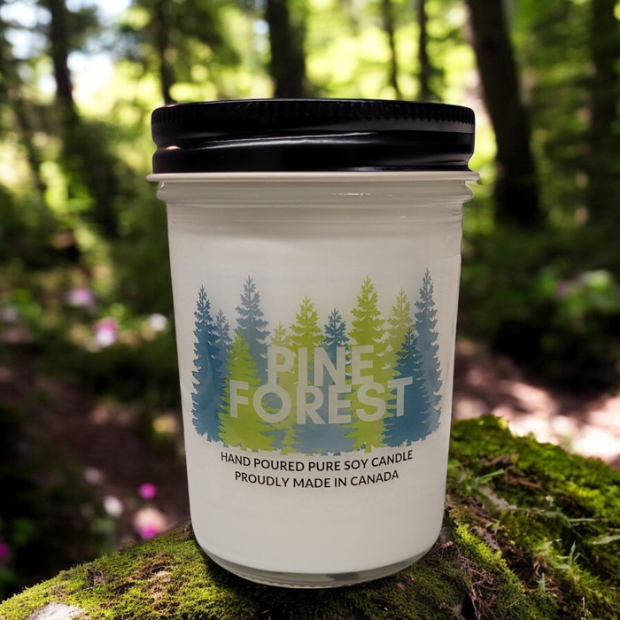 Pine Forest
