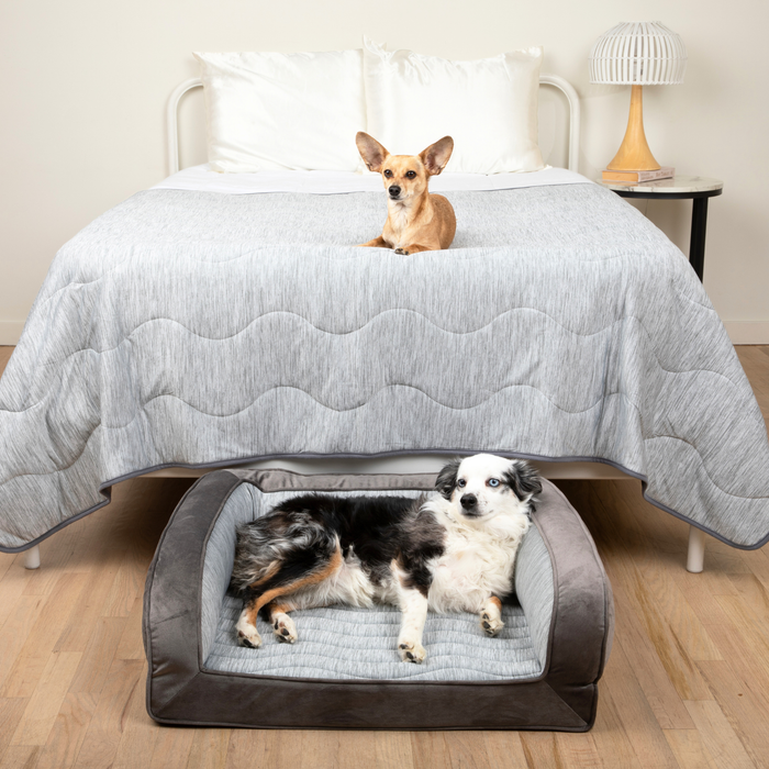 Medium Bed (29" L x 24" W) + Large Blanket (60" L x 82" W)
