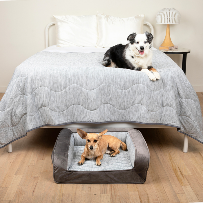 Small Bed (24" L x 20" W) + Large Blanket (60" L x 82" W)