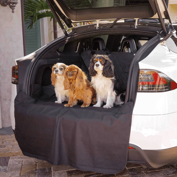 three dogs in the back of a Tesla trunk protected by cargo liner