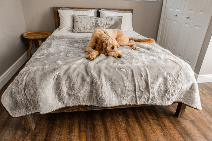 Large (80"L X 62"W)