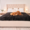 Large (80"L X 62"W)