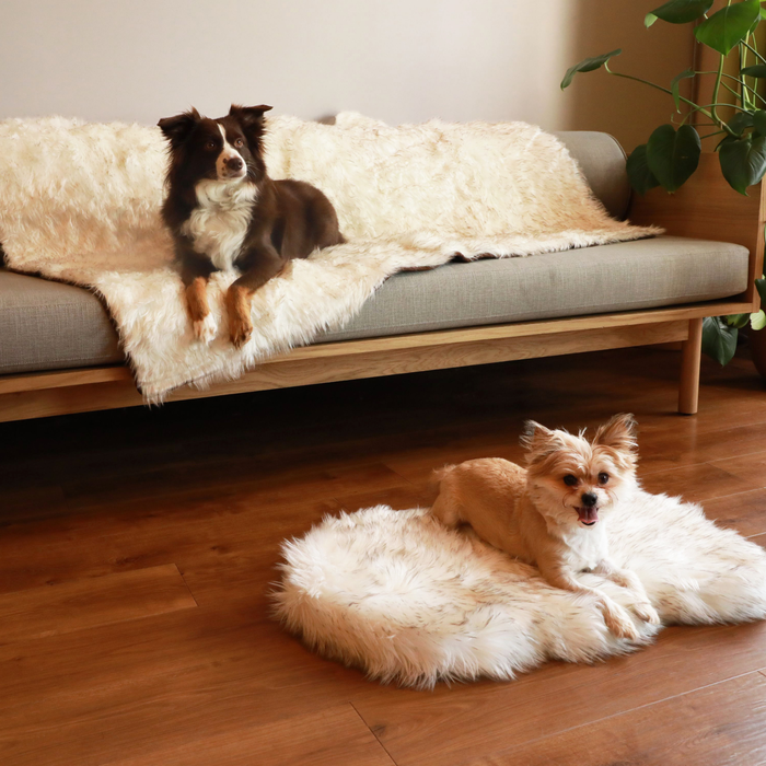 PupRug® Orthopedic Bed + Matching Waterproof Blanket Bundle - White with Brown Accents
