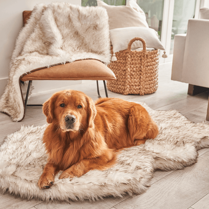 PupRug® Orthopedic Bed + Matching Waterproof Blanket Bundle - White with Brown Accents