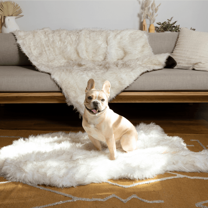 PupRug® Orthopedic Bed + Matching Waterproof Blanket Bundle - White with Brown Accents
