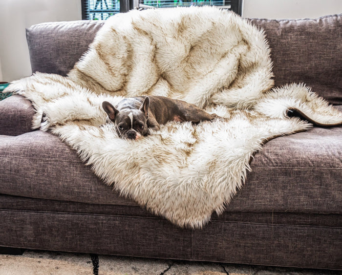PupRug® Orthopedic Bed + Matching Waterproof Blanket Bundle - White with Brown Accents