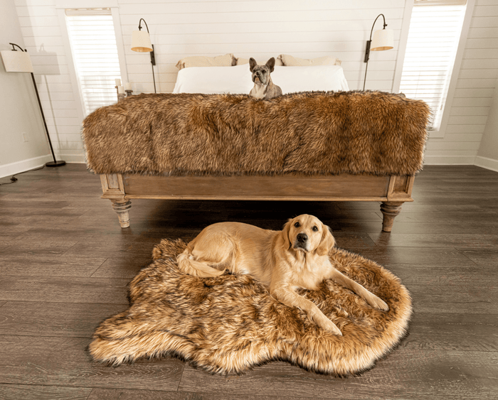 Large Bed - 50" x 30" & Large Blanket - 80"L x 62"W